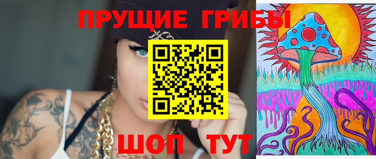 Псилоцибиновые грибы Cubensis Елабуга