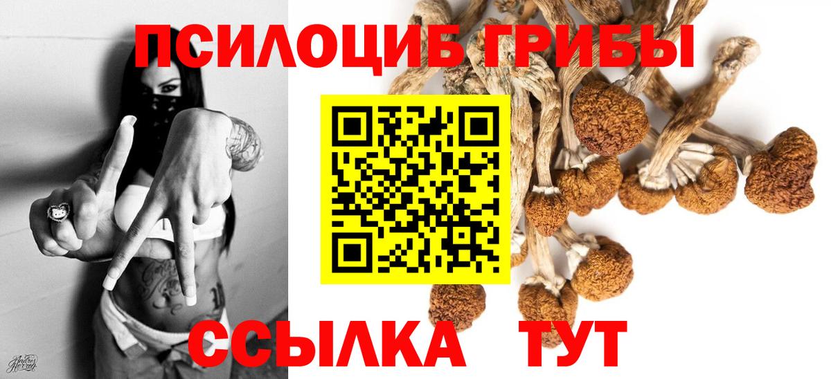 Мефедрон   ГАШИШ  КОКАИН  Елабуга  Вход с VPN 
