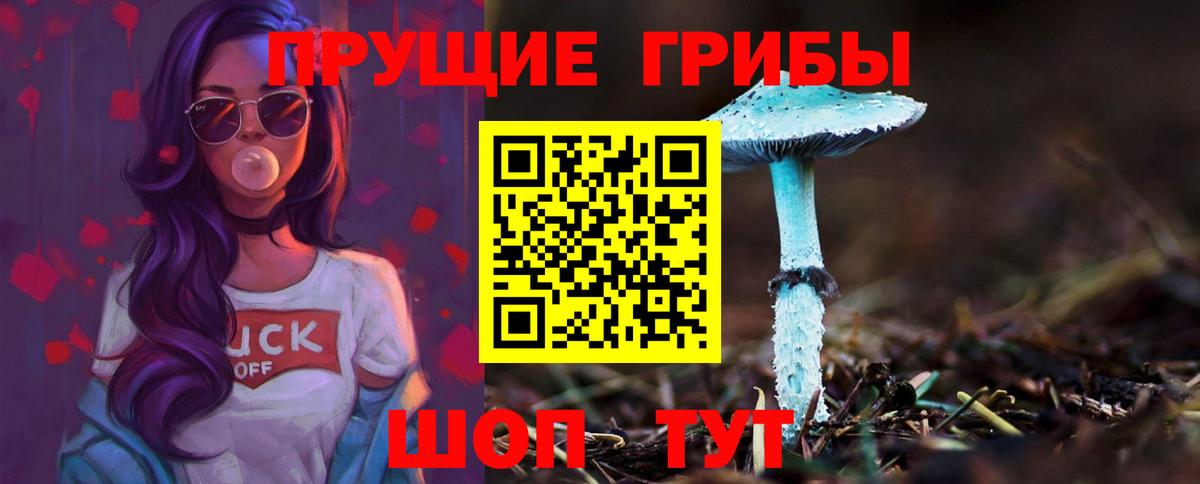 Галлюциногенные грибы Psilocybine cubensis  как найти закладки  Елабуга  Вход с VPN 